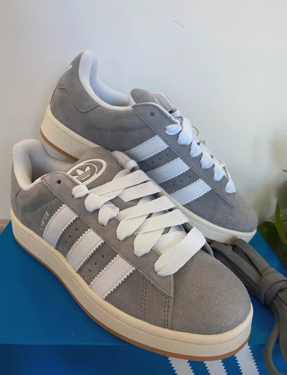 Adidas Campus 00s Gris - Zapatilla Clásica (Auténtica Reventa)